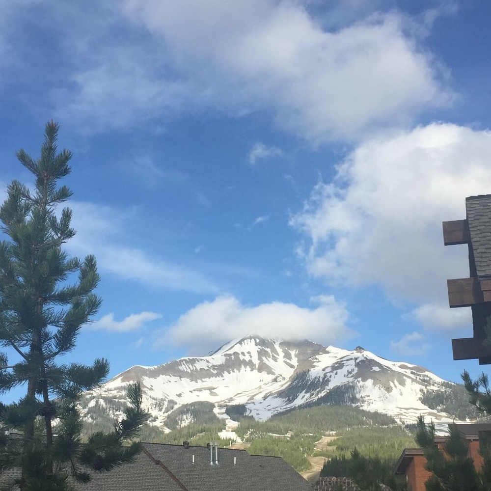 Meet your Posher, Malena